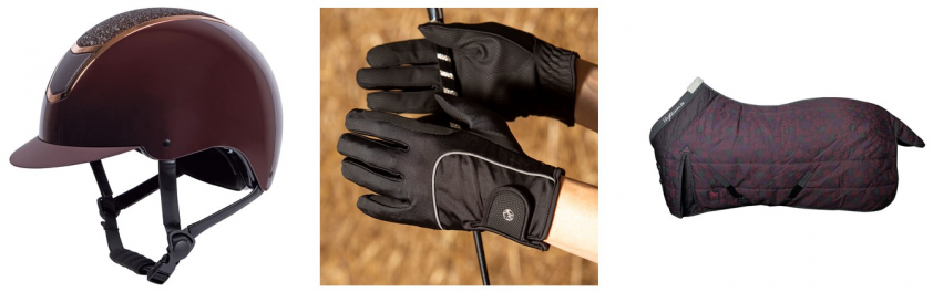 Voorspel de winnaars van de Paralympische Spelen: dressuur! featured image