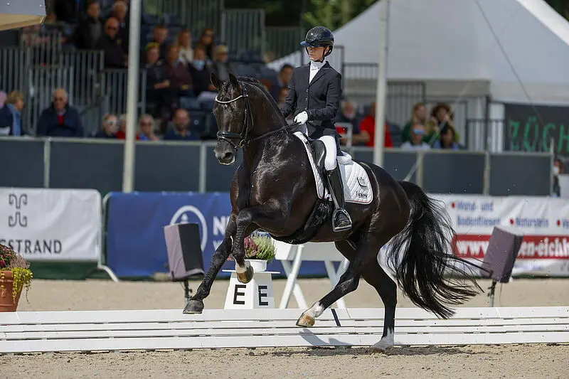 47 paarden door naar tweede WK-selectie featured image