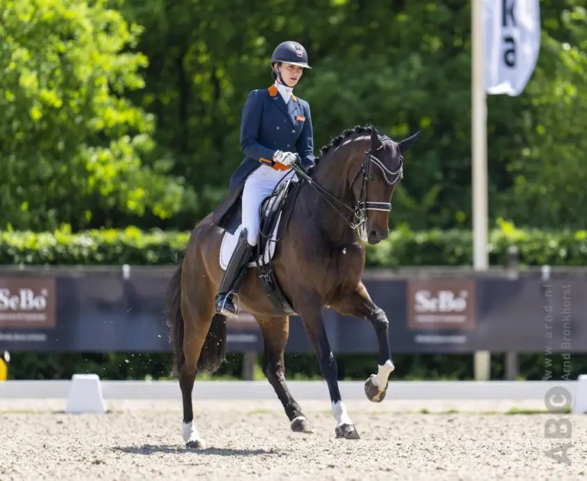 Grand Prix-merrie Gerda Nova de la Fazenda verkocht featured image