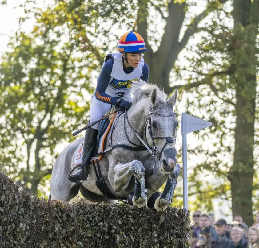 EK Eventing: Nederlandse paarden goed door vetcheck featured image