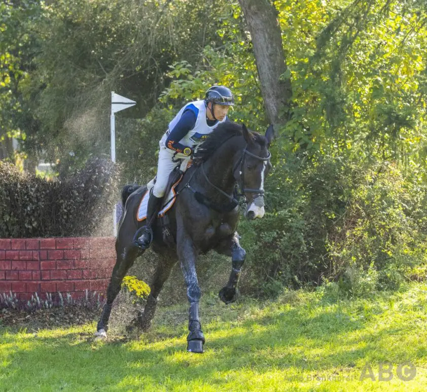 Tim Lips wint korte tweester met Iguazu, Sanne de Jong derde featured image