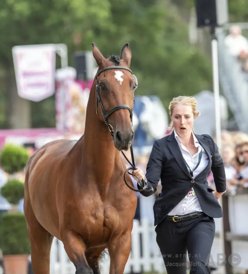 Aliene Ruyters toppaard Bomba (15) uit de sport featured image