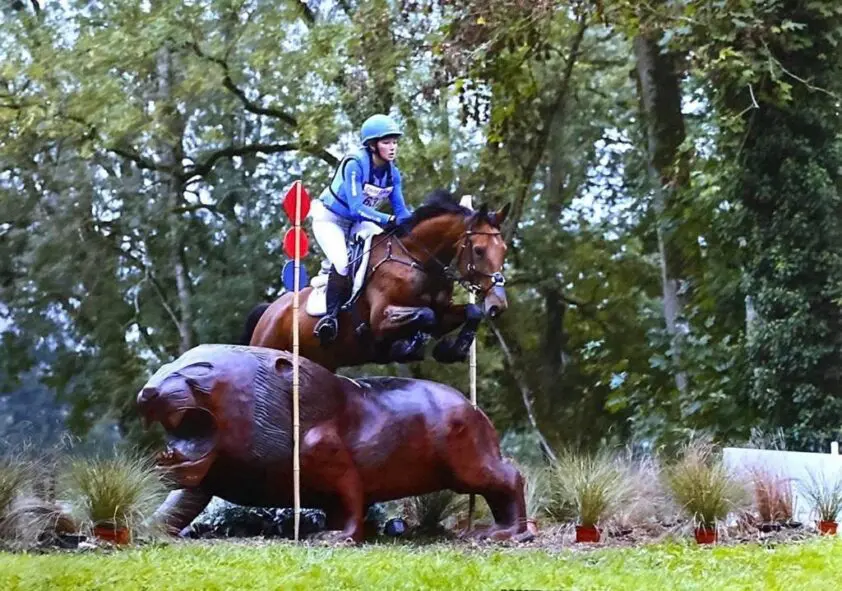 Vier KWPN’ers en één Holsteiner namens Nederland naar WK jonge eventingpaarden featured image