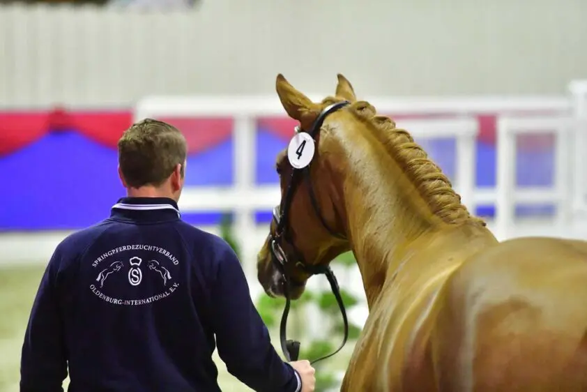 HK OS 2025: Volg de keuring live featured image