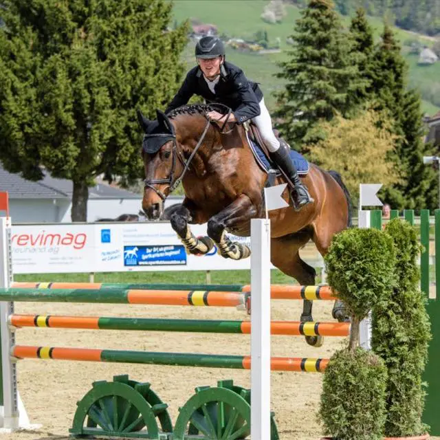 Paard & Geld: ‘Ik ben sinds twee jaar in Nederland voor de sport’ featured image