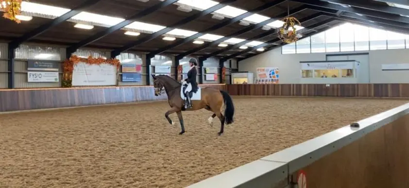 Grand Prix-paard Heartbeat W.P. naar Kasey Perry-Glass featured image