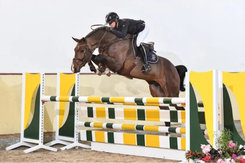 Chaccothage Blue PS met afstand topper springtest Adelheidsdorf featured image
