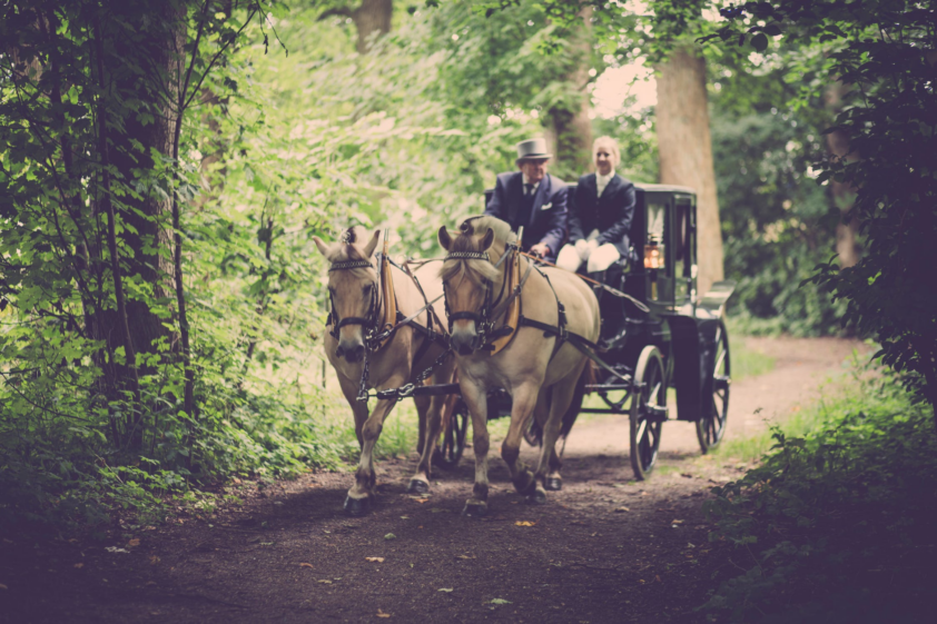 Deze YouTube-kanalen over paarden wil je volgen featured image