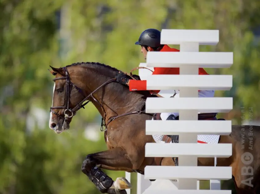 FEI legt drie springruiters schorsing van twee jaar op featured image