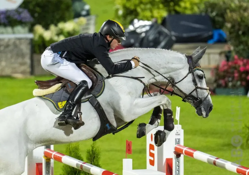 Grand Prix-paard Concordess NRW van Philipp Schulze Topphoff naar Qatar verkocht featured image