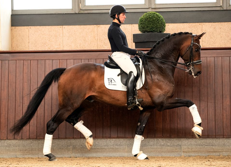 Deense Blue Hors opent dependance in Duitsland featured image