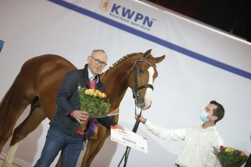 Van den Brink en Greve nieuwe eigenaren Carambole-premiehengst: ‘Heel compleet paard’ featured image