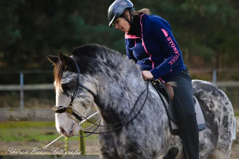 Paard&Geld: ‘Als je elke maand zulke kosten hebt ga je failliet’ featured image