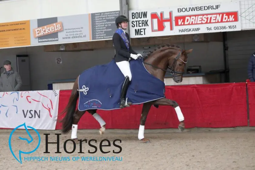 Dutch Dream topper van Duitse minitest met 8,62 featured image