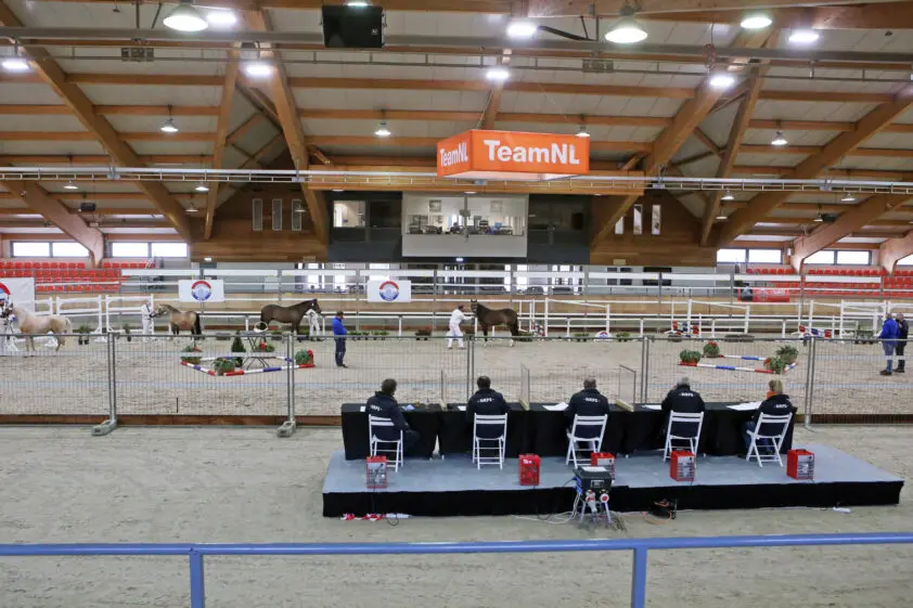 NRPS haalt Duitse fokkerijleider als gastjury naar Hengstenkeuring featured image