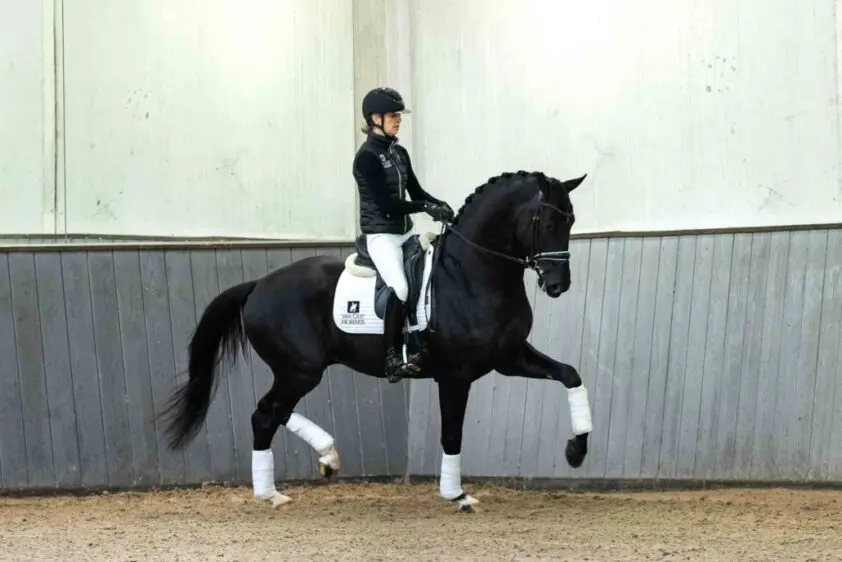 Franka Loos terug naar Van Olst featured image