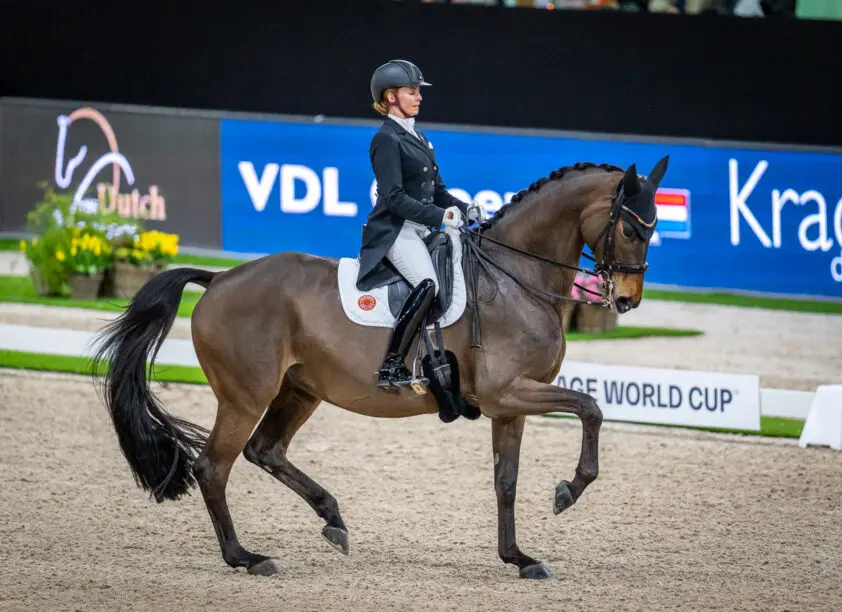 Von Bredow-Werndl en Dalera klasse voor zich in Den Bosch, Zweistra beste Nederlandse featured image