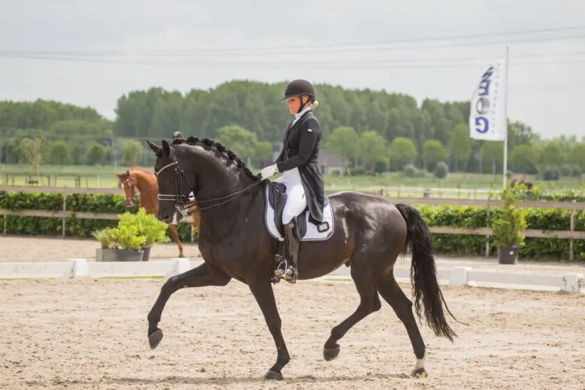 Schelstraete en Ironman vierde in Inter I kür Waregem featured image