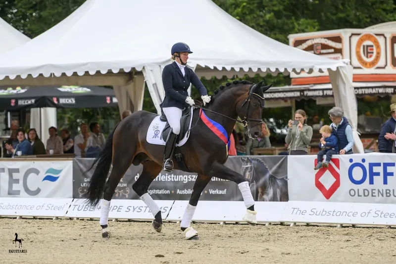 Verenigde Staten met twee zesjarigen en een zevenjarige naar WK Jonge Dressuurpaarden featured image
