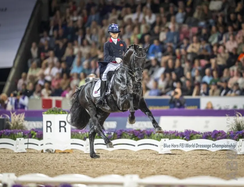 WBFSH Rankings 2022: KWPN bovenaan dressuurranking en derde bij springpaarden featured image