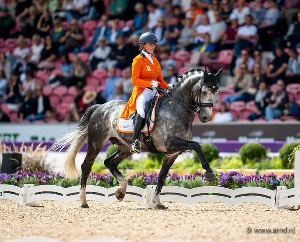 Voormalig teampaard Hexagon’s Ich Weiss verkocht naar Verenigde Staten featured image