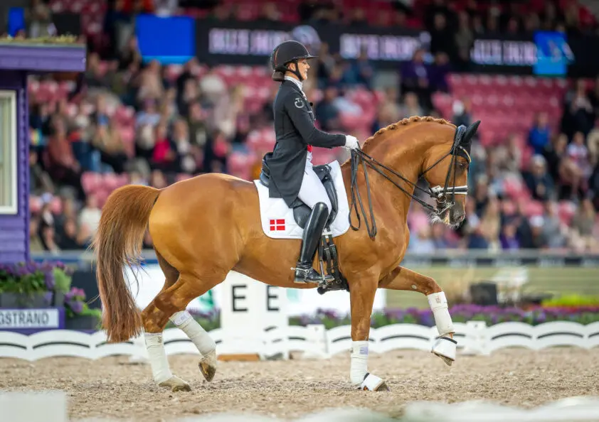 Franse reservekampioen bij de zesjarigen Jedaï de Massa naar Cathrine Dufour featured image