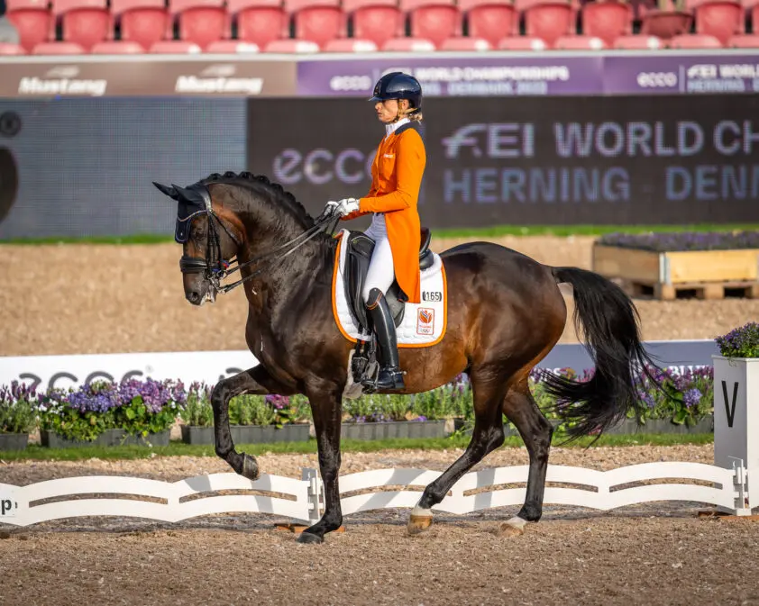 Grand Prix Herning dag 1: Dinja van Liere en Hermès aan de leiding met 78,835%, USA uit medaillestrijd featured image