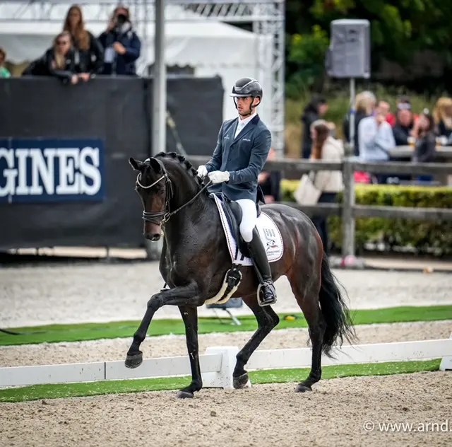 Voormalig Bundeskampioene Feine Bella NRW wint Nürnberger Burg-Pokal-kwalificatie München-Riem featured image