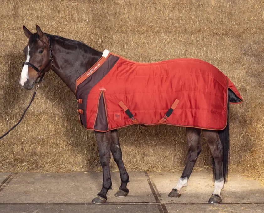 Harry’s Horse: paardensport voor iedereen featured image