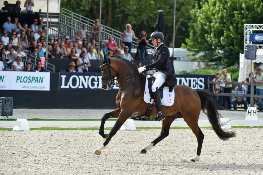 Helgstrand publiceert tweede Donkey Boy-statement: ‘Geen partij in juridisch geschil’ featured image