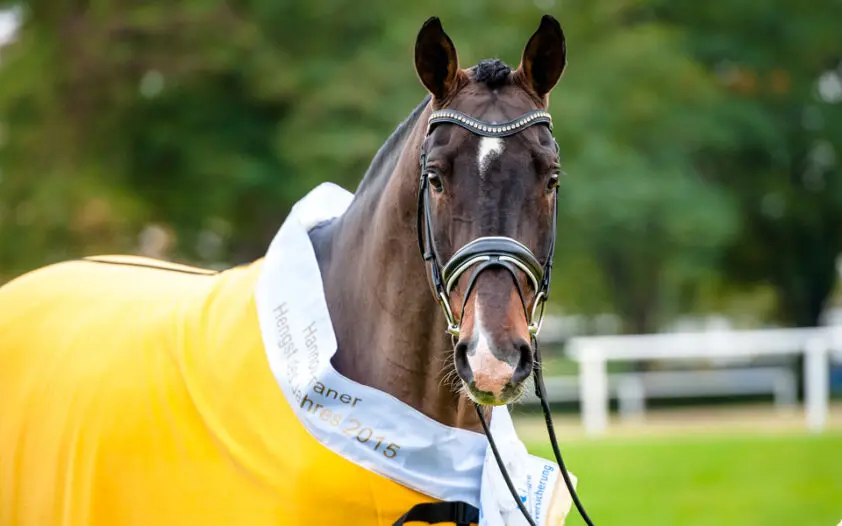 Fritz von der Decken Preis voor Arend Kamphorst featured image