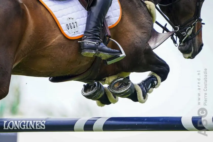 Jumping Amsterdam: Eva Kaptein wint nationale 1,20m: ‘Vorige week ben ik er weer opgestapt’ featured image