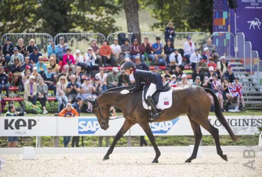 Brits veilinghuis verkoopt volle broer of zus 5*-eventer Lordships Graffalo voor bijna 25.000 euro featured image