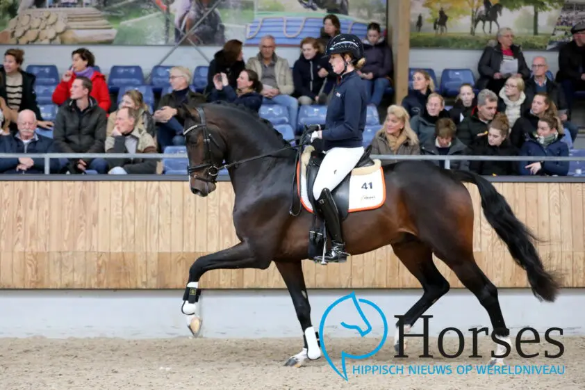 KWPN-hengst Ozzy deels verkocht aan Team Nijhof featured image