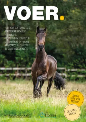 VOER. 2022