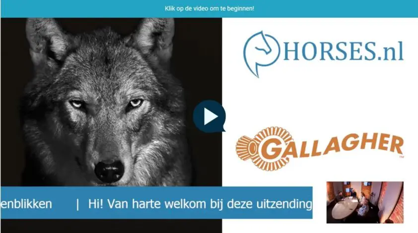 Webinar ‘De wolf & de paardensector’: kijk nu terug featured image