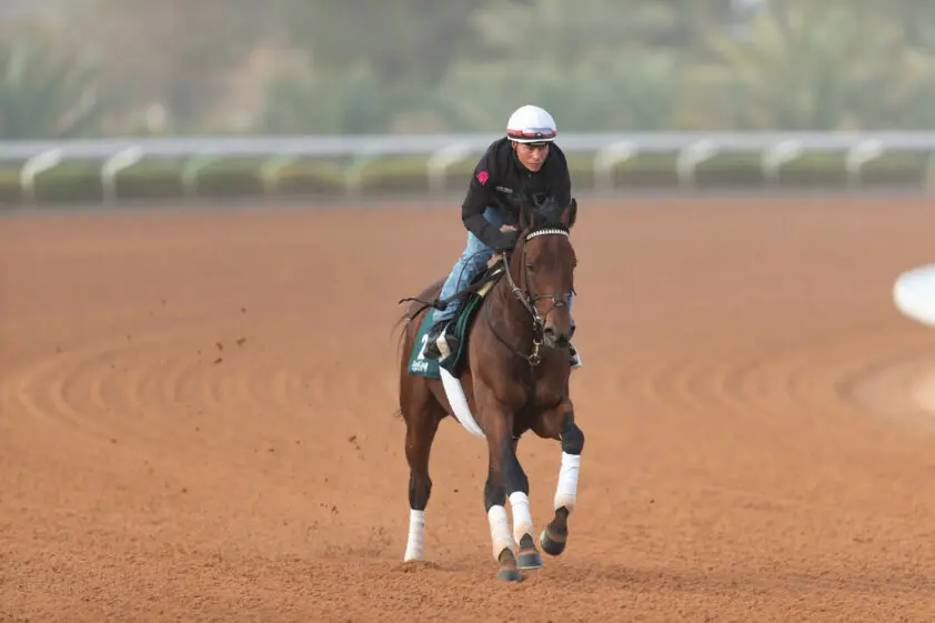 Art Collector wint met gemak de Pegasus World Cup 2023 featured image