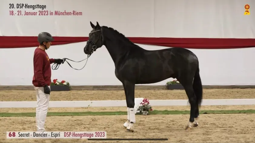 HK DSP: Reesink koopt Secret x Dancier voor 350.000 euro featured image