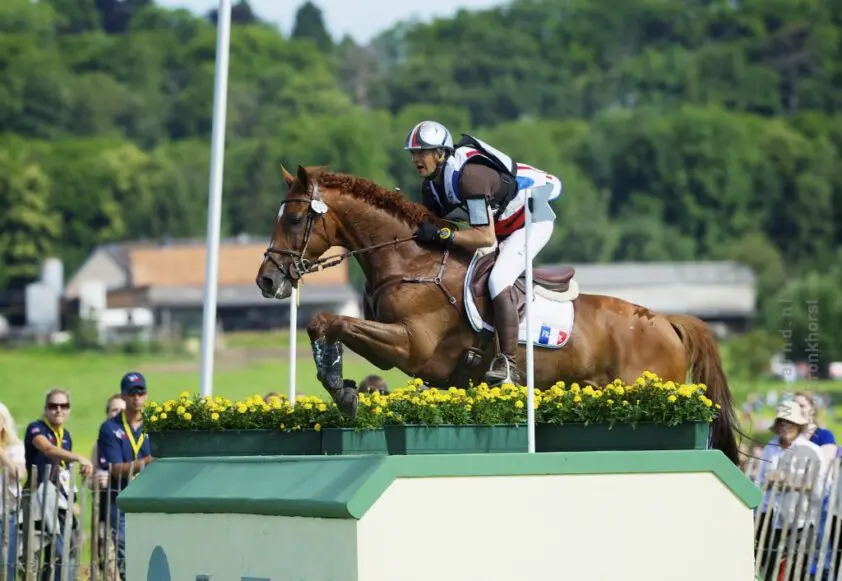 Punch de l’Esques (20) neemt afscheid van sport met zege Indoor Cross Bordeaux featured image