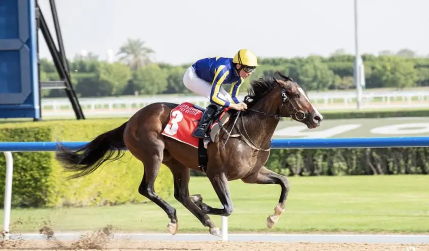 Hattrick binnen een klein uur voor jockey Adrie de Vries en trainer Fawzi Nass featured image