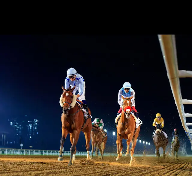 Hattrick voor Buick en Appleby, kwartet voor renstal Godolphin en winst voor De Vries featured image