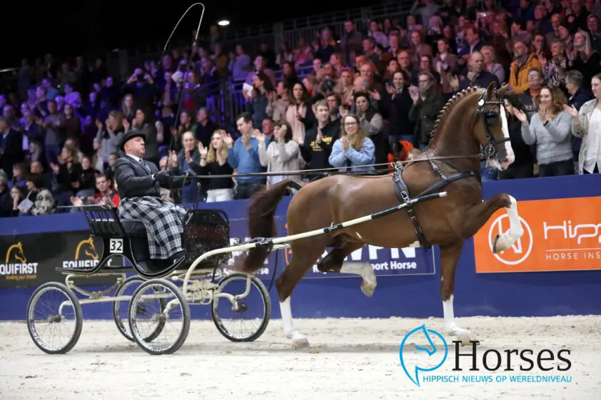 Vier hengsten opgegeven voor Oregon Trofee: Macho, Neon GSM, Latino en Olympus HVM featured image