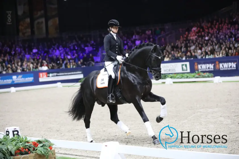 HC Groningen: Stuivertje wisselen voor Secret Lover en Obsession Taonga in Klasse M featured image