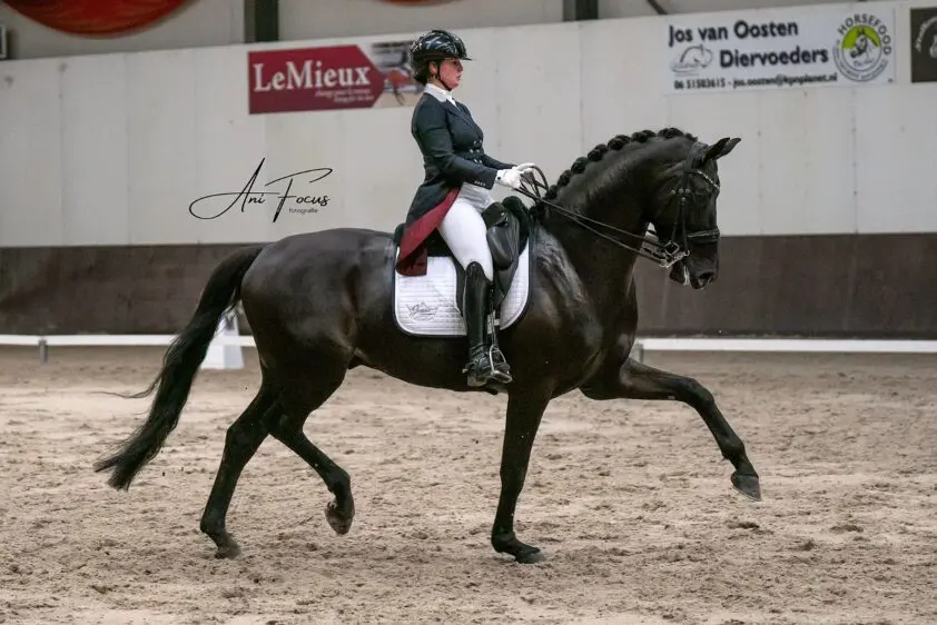 Jeanine Nieuwenhuis wint Int II met Jack Black: ‘Kijk al uit naar de Grand Prix met hem’ featured image