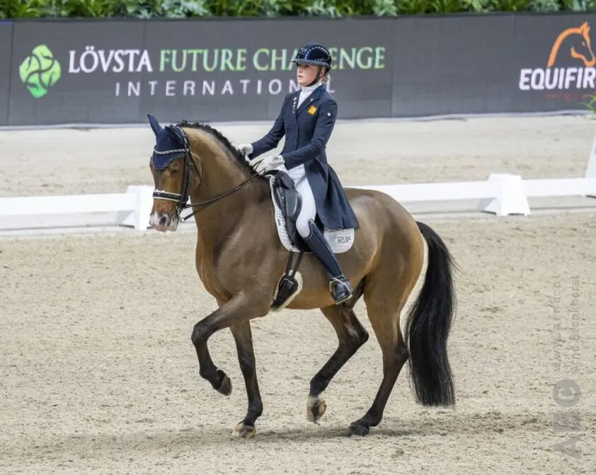 U25 Grand Prix-paard Cupido RS2 met pensioen featured image