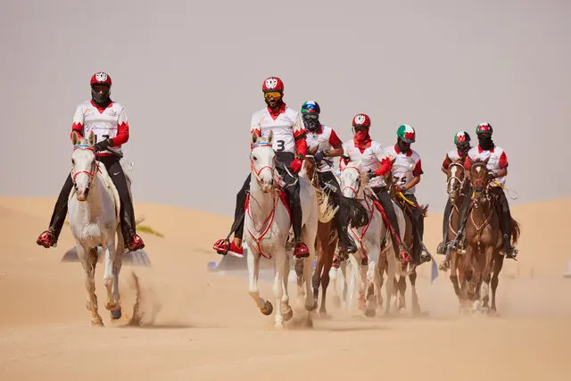 Koninkrijk Bahrein pakt dubbel goud op WK Endurance featured image
