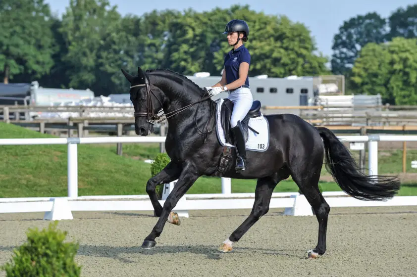 Grande-Preis voor Bon Coeur featured image