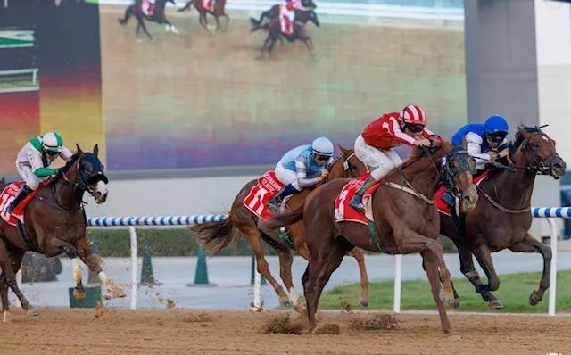 Topjockey Adrie de Vries vier keer in actie in met miljoenen gesponsorde Dubai World Cup featured image