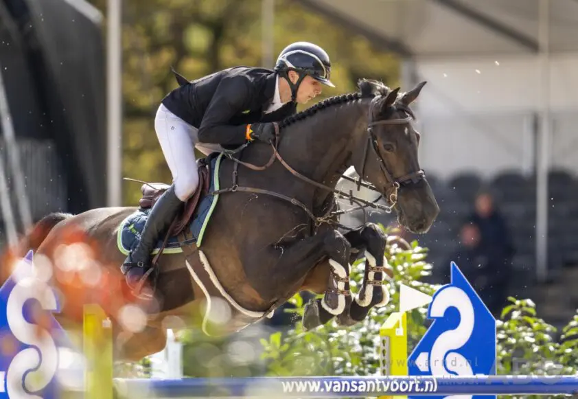 Mans Thijssen wint 1.45m Gorla Minore, Kevin Jochems en Leon Thijssen in top-5 featured image