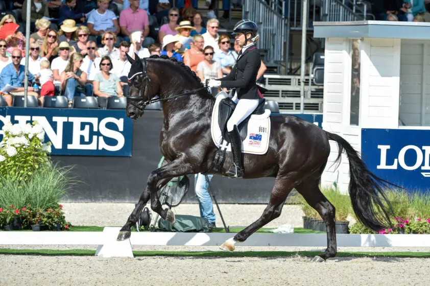 Cornets Iberio levert veilingtopper, duurste dressuurpaard van Marc Cain featured image